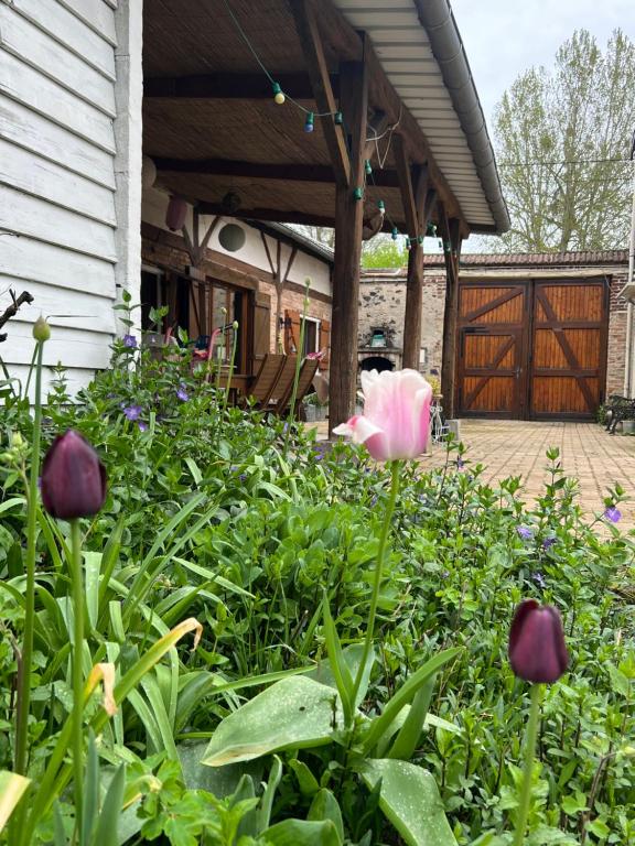 a garden with purple flowers in front of a house at La maisonnette in Warmeriville
