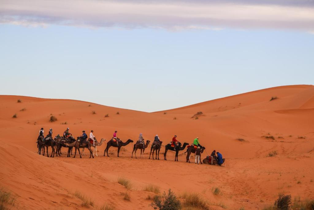 Hosté ubytování Azawad Luxury Desert Camp