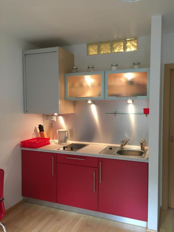 Kuchyň nebo kuchyňský kout v ubytování Apartmán u lesa, Srní 119