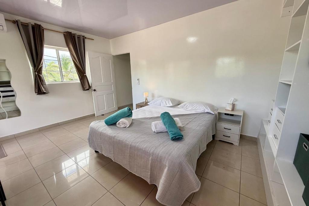 Appartement Manohiti le calme au centre de Pirae - 1 ch clim WiFi - photo 7 - Tahiti, Polynésie