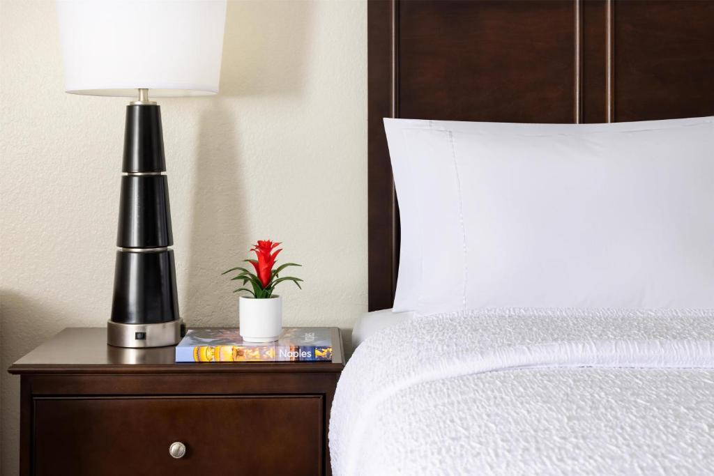 Hampton Inn Naples-Central photo
