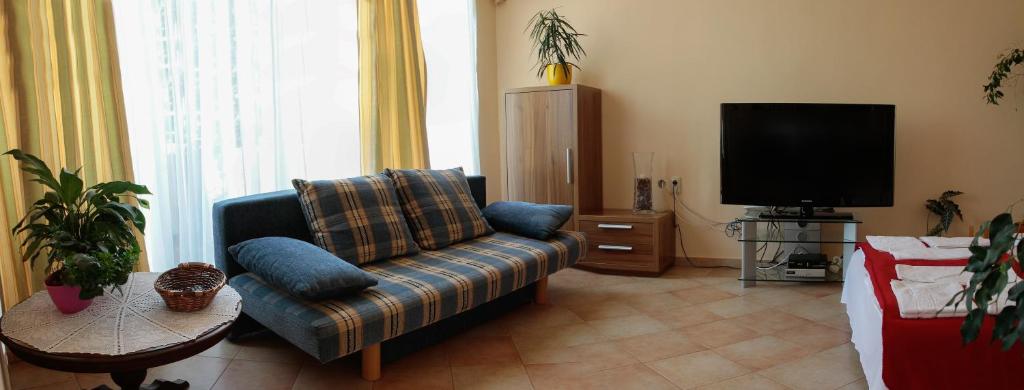 Televízia a/alebo spoločenská miestnosť v ubytovaní Nyirfa Apartmanház