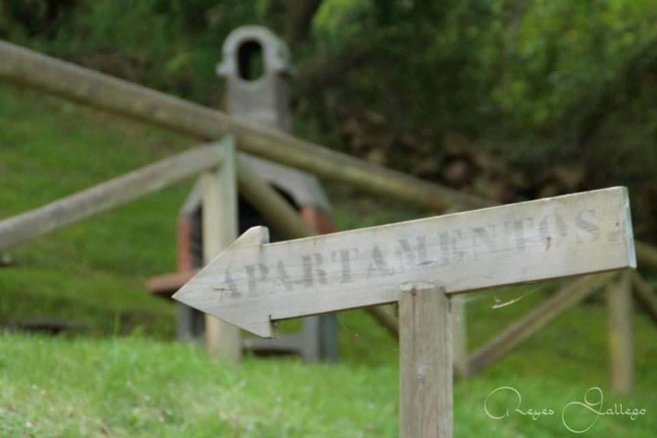a wooden sign in the grass next to a house at Apartamentos Rurales Les Mestes in Tazones