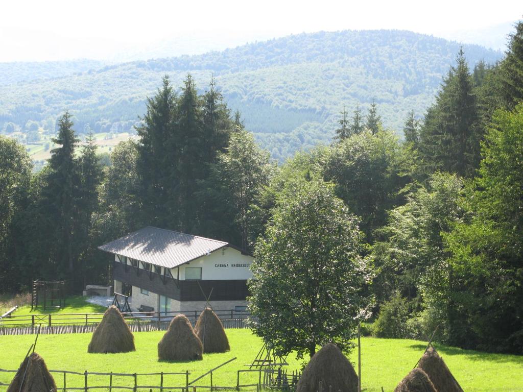 Cabana Haiducului - Maison De Cinq Chambres