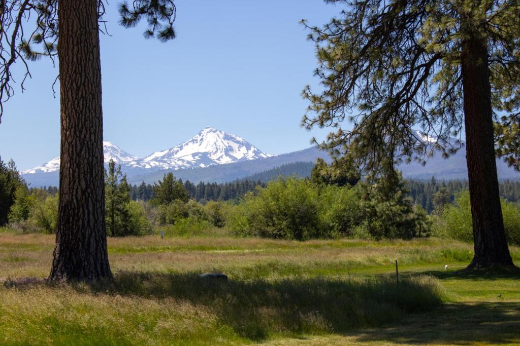 a view of a mountain from between two trees at Lodge Room 035 in Black Butte Ranch