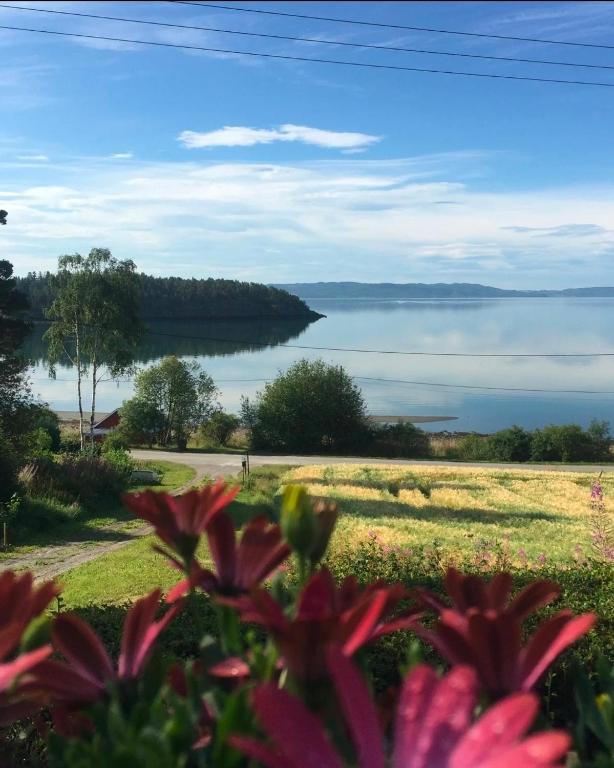 a view of a lake from a field with flowers at Koselig feriehus ved sjøen - Skjevikstranden in Steinkjer