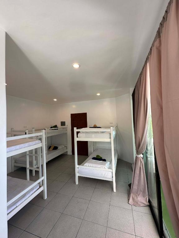 a room with two bunk beds and a curtain at Gracey Dive Resort and Restaurant in Dauin