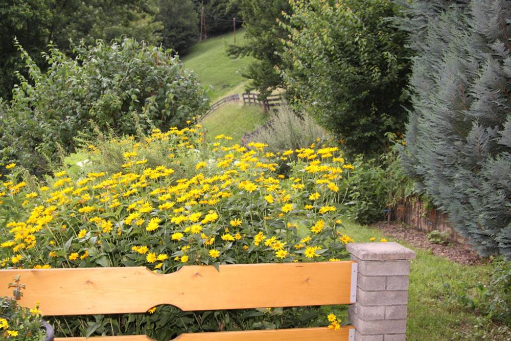 A garden outside Plattnerhof