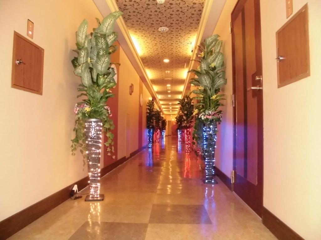 Fotografie z fotogalerie ubytování Sari Resort Kashiba (Adult Only) v destinaci Kashiba