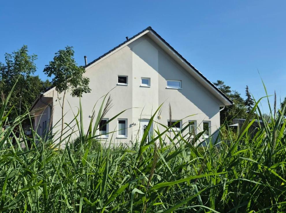 a white house behind some tall grass at Ferienhaus Lachmöwe in Fehmarn