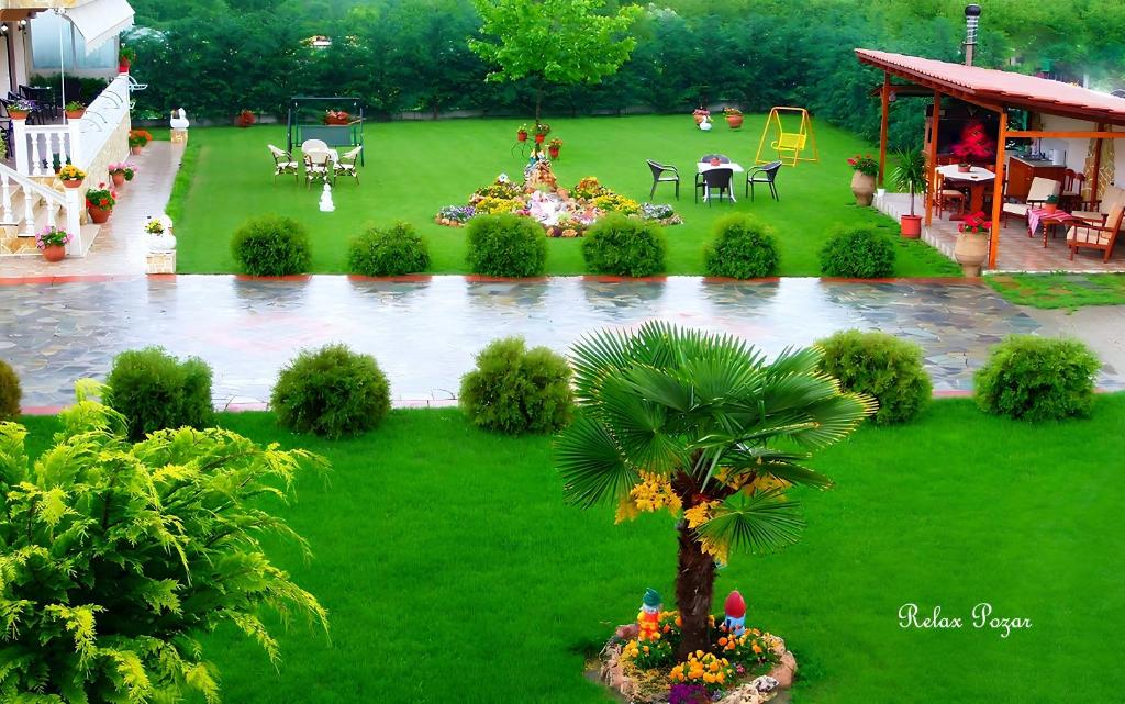 a garden with a palm tree and a pond at Relax pozar in Kato Loutraki