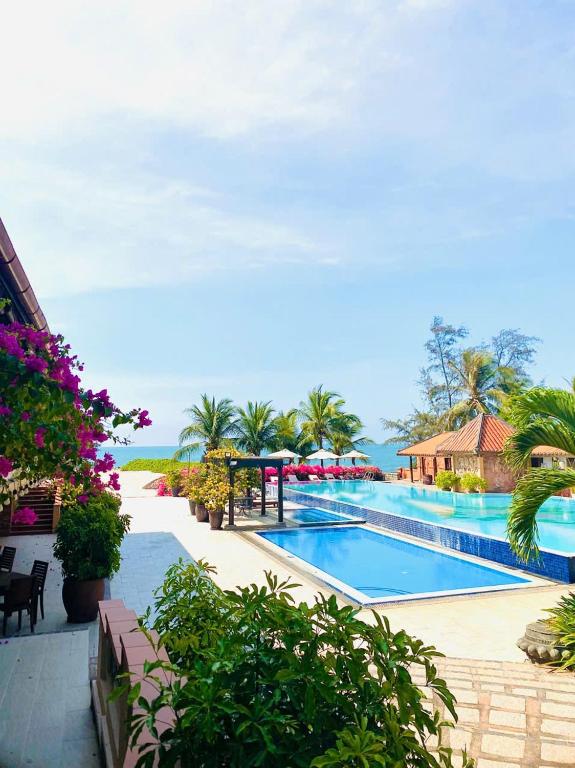 Bungalow Premium Deluxe Nhìn Ra Vườn