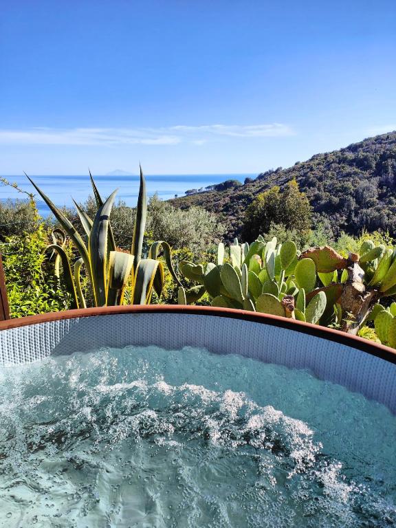 a hot tub in a garden with a cactus at Sea view villa with large garden in Campo nell'Elba