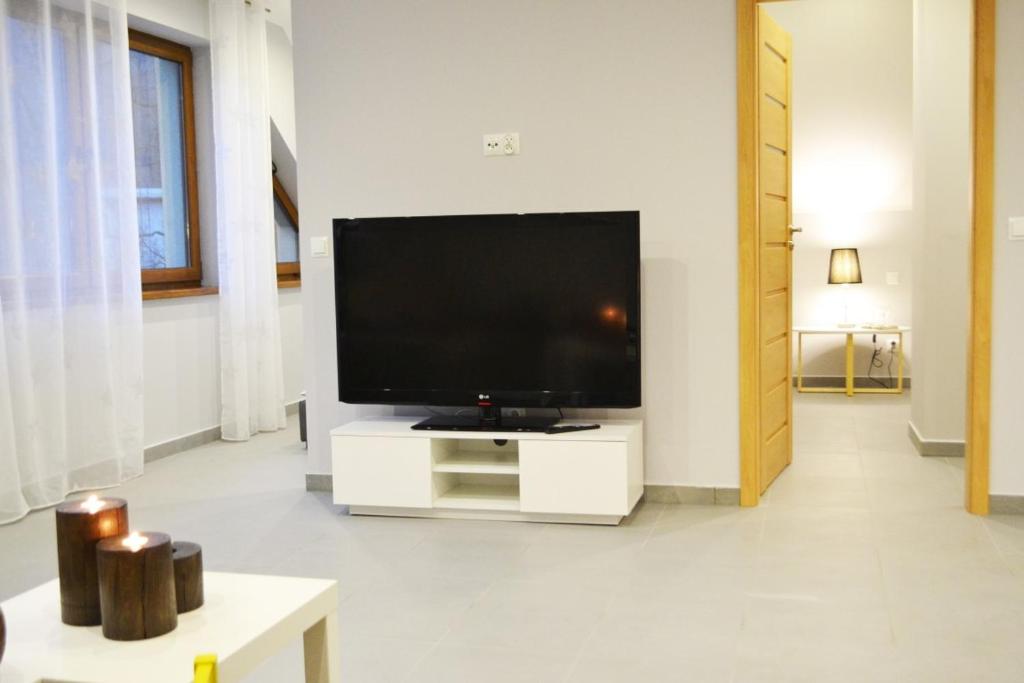TV a/nebo společenská místnost v ubytování Apartamenty 66 c