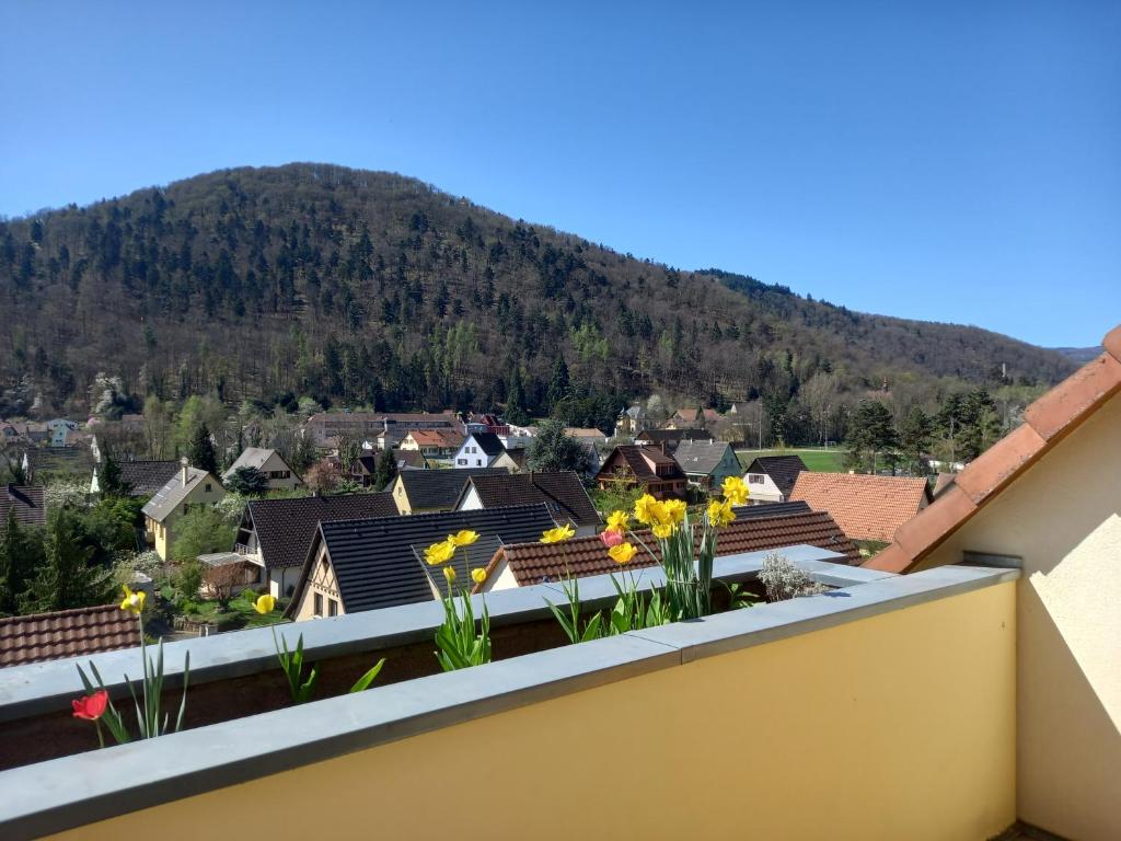 Le panorama - Appartement meublé 5 pièces cuisine salle de bain – photo 20