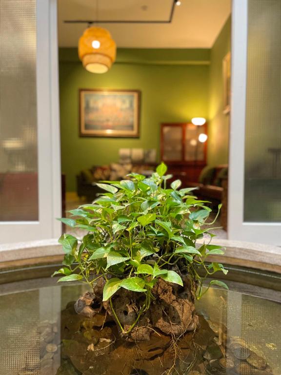 a potted plant sitting on top of a glass table at 光陰GUANGinn in Hsinchu City