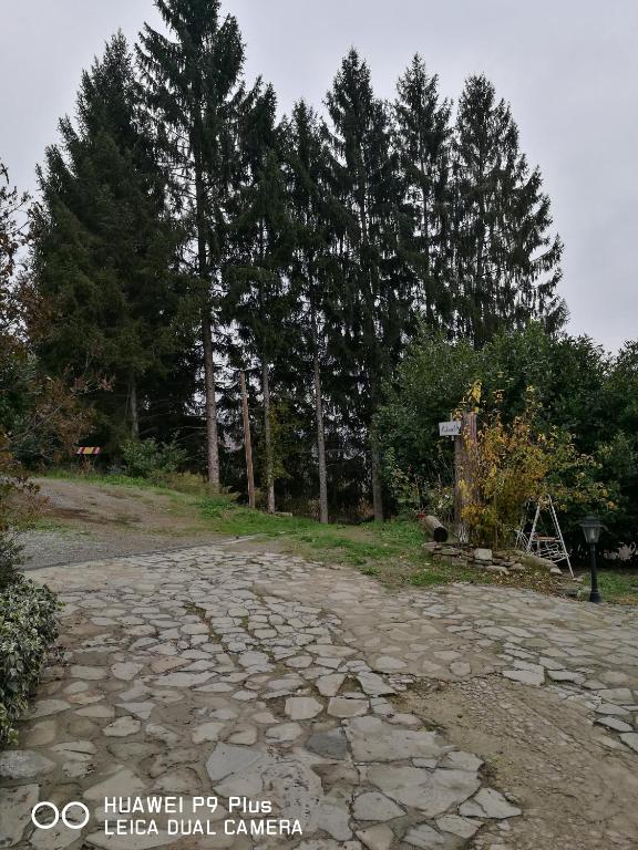 Fotografie z fotogalerie ubytování Agriturismo Davide v destinaci Bossolasco