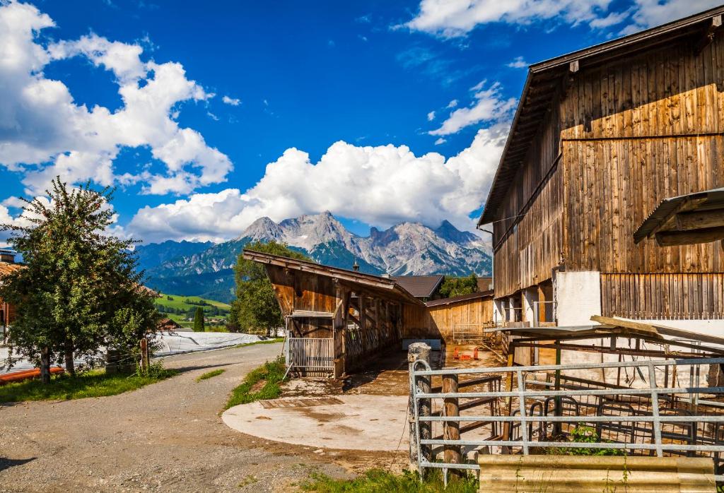 Fotografie z fotogalerie ubytování Ferienwohnung Örgenbauer v destinaci Saalfelden am Steinernen Meer