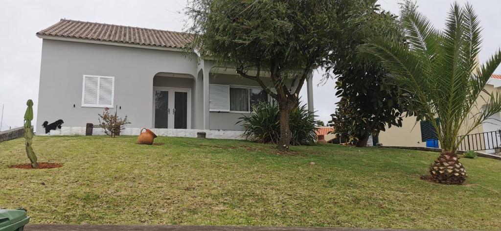 a house with two palm trees in the yard at Santa Maria Goldcrest House in Vila do Porto