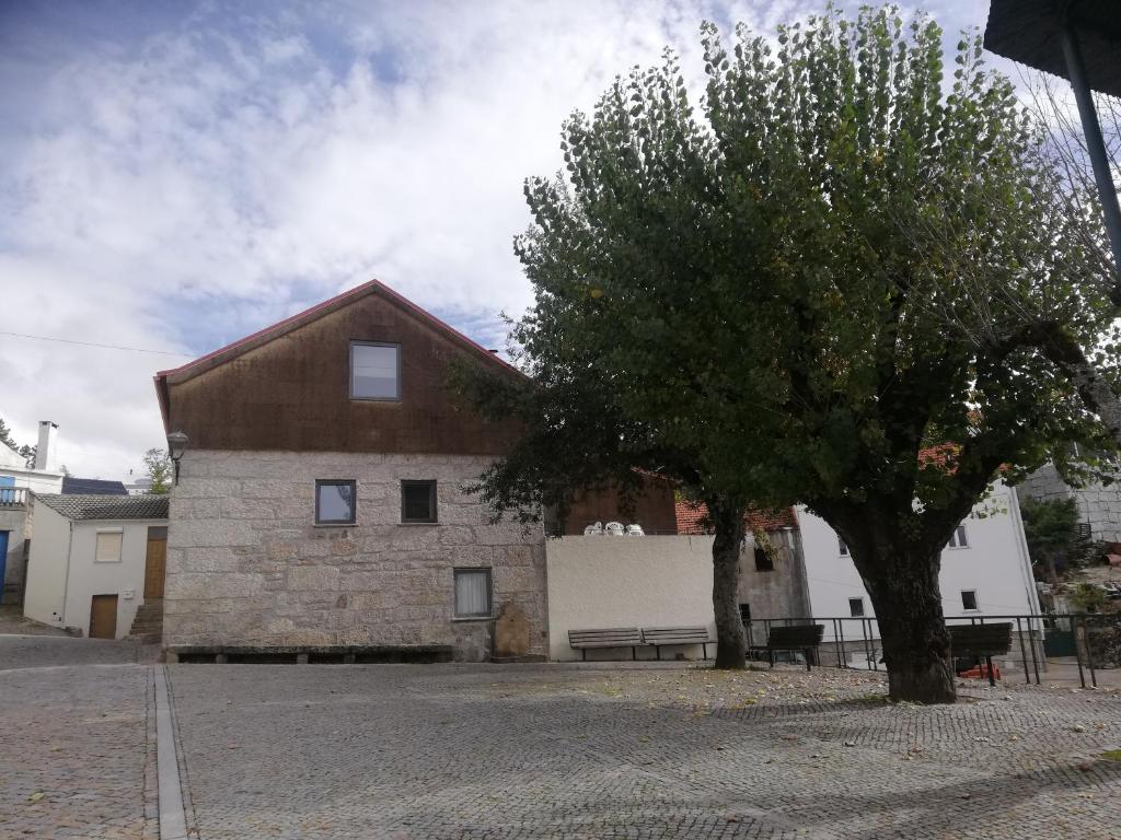 a building with a tree in front of it at Sambuc'asa - Serra da Estrela in Sabugueiro