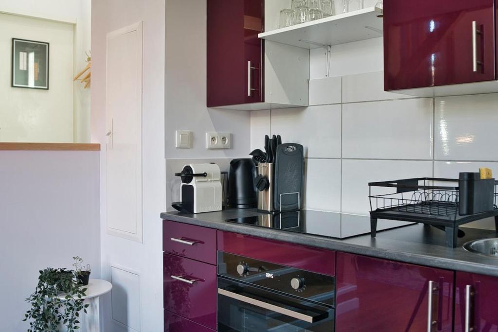 The Purple Suite - Duplex - Mulhouse Center – photo 42