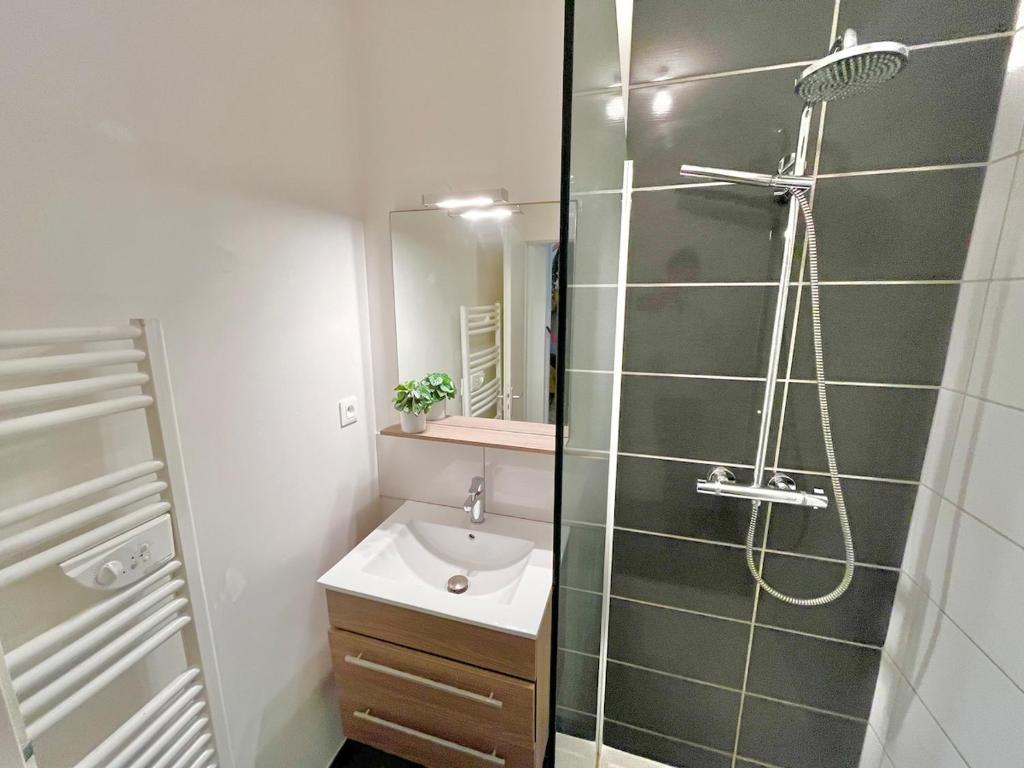 The Purple Suite - Duplex - Mulhouse Center – photo 14