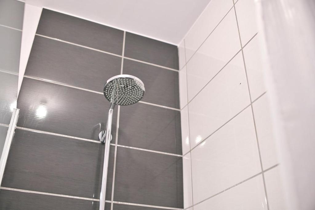 The Purple Suite - Duplex - Mulhouse Center – photo 17