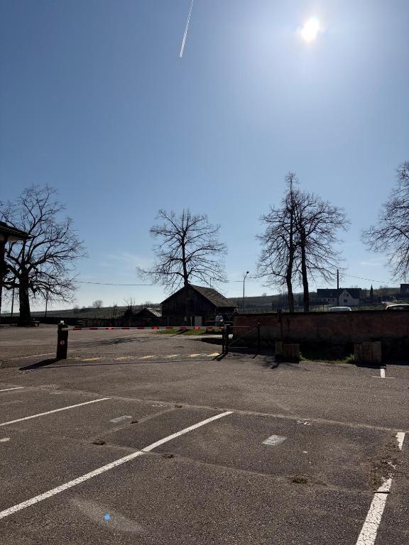 Hotel Au Cerf – photo 19