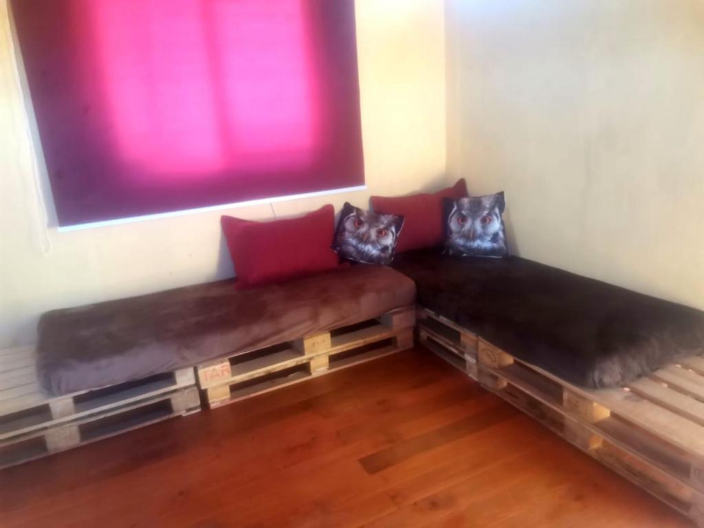 two cats sitting on a couch in a room at Refugio del Pirata Algarrobo in San Antonio