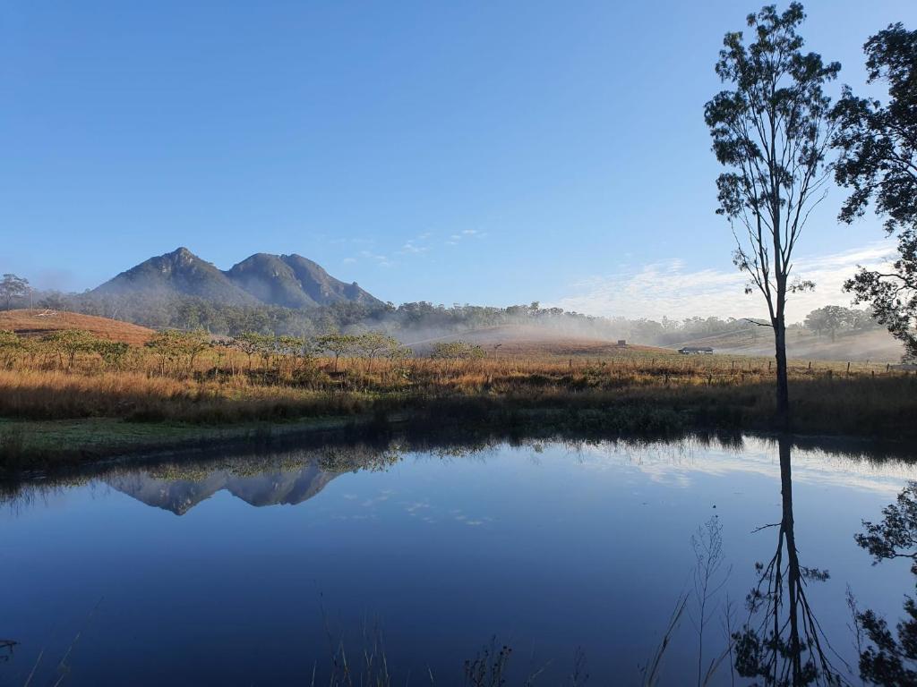 a lake with a tree and mountains in the background at Croftby Hills - Scenic Rim in Croftby