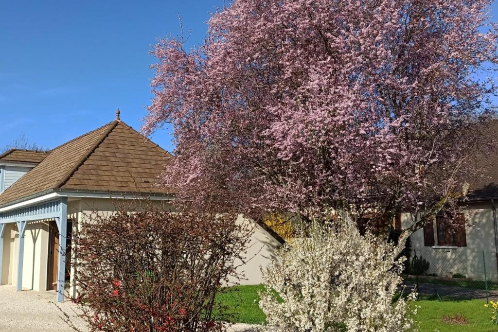 La maison bleue - Casa Vacanze