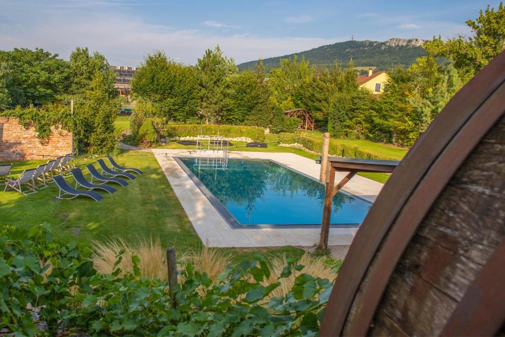 an overhead view of a swimming pool in a yard at Amenity Penzion Horni Vestonice in Horní Věstonice