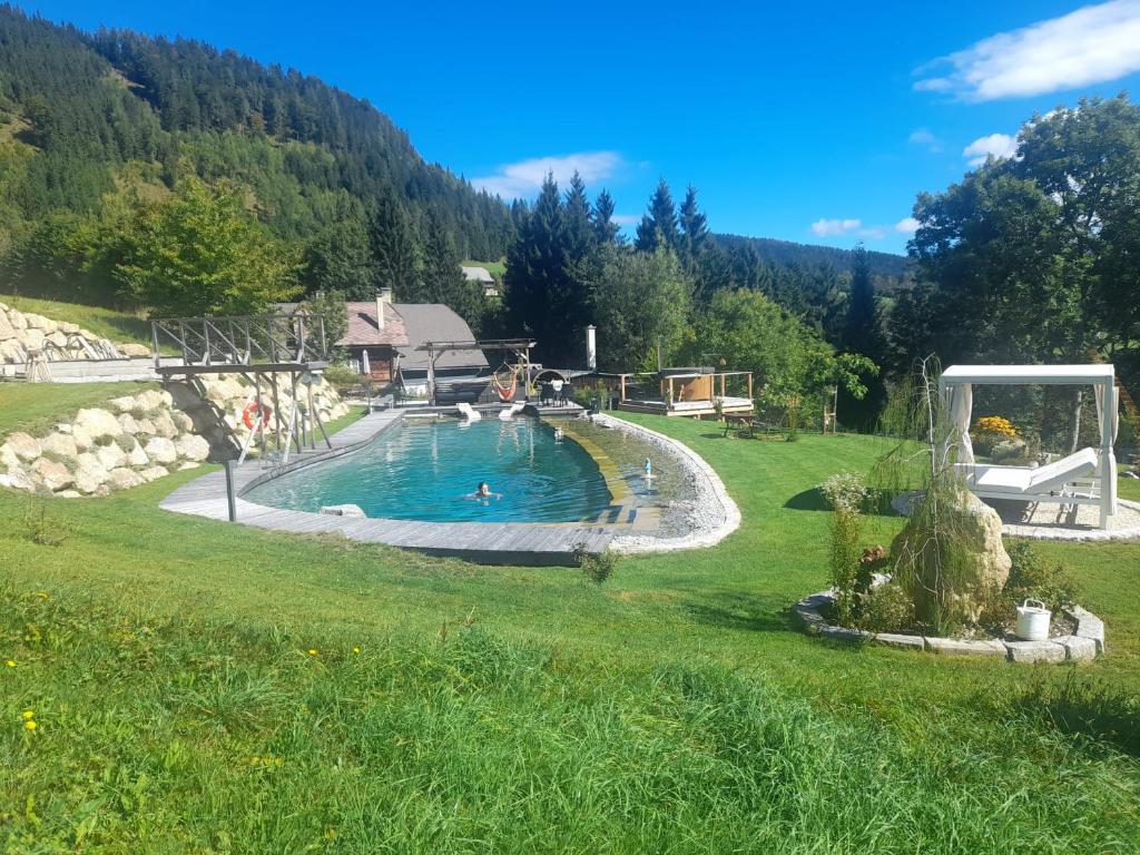 a large swimming pool in a grassy field at Ferienhaus Pliescherhof in Turnau