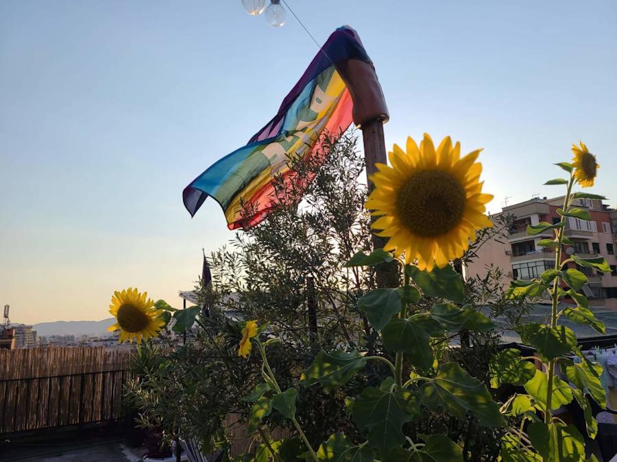 a colorful kite flying over a group of sunflowers at Roof Top Hostel in Tirana