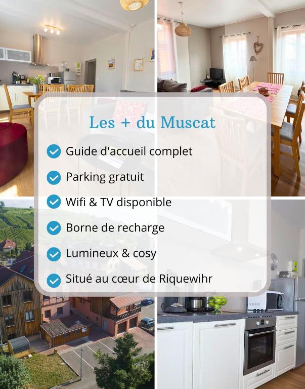 MUSCAT - Bel appartement rénové récemment - au pied du vignoble - parking gratuit – photo 9