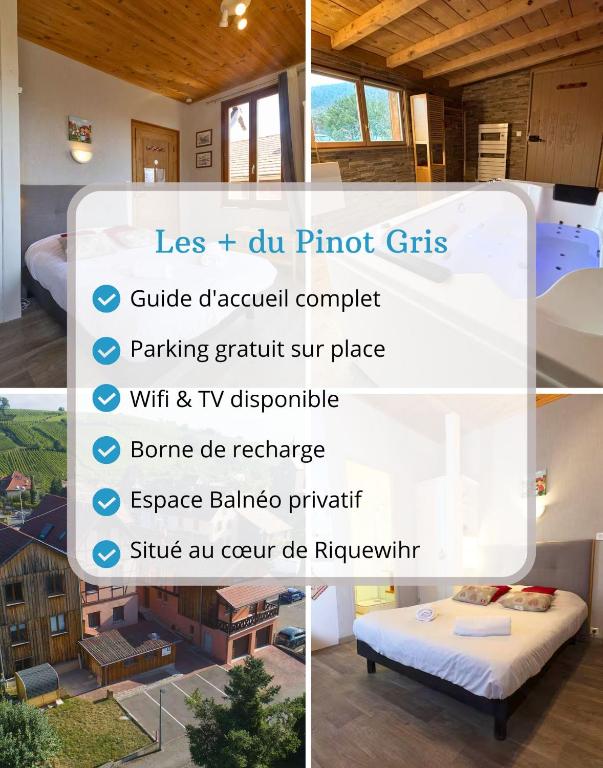 PINOT GRIS - Charmant studio au cœur du vignoble - parking gratuit – photo 11
