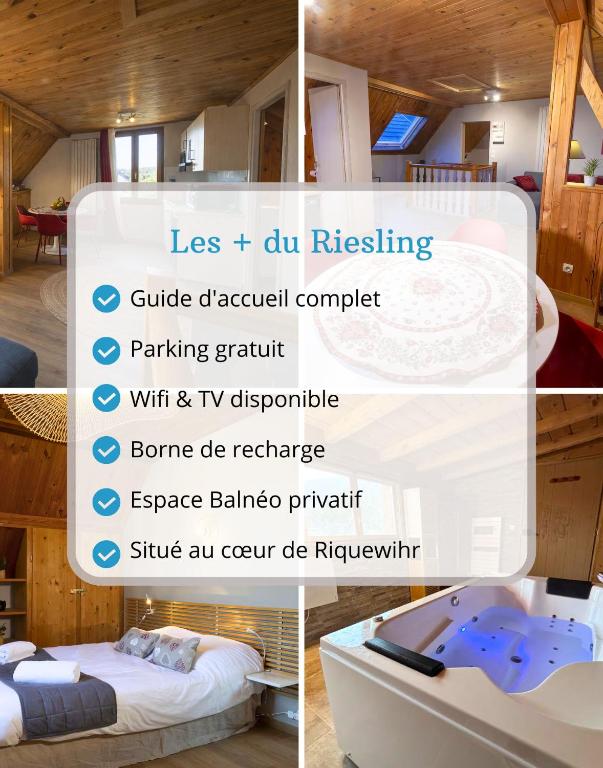 RIESLING - Vue imprenable sur le vignoble - rénové récemment - parking gratuit – photo 11