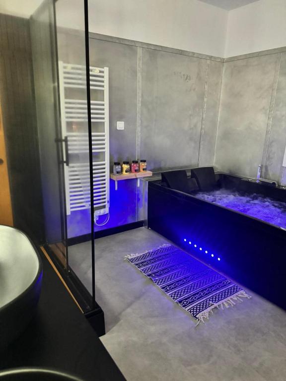 a room with a shower with a blue tub at Le miroir des désirs in Argentré-du-Plessis