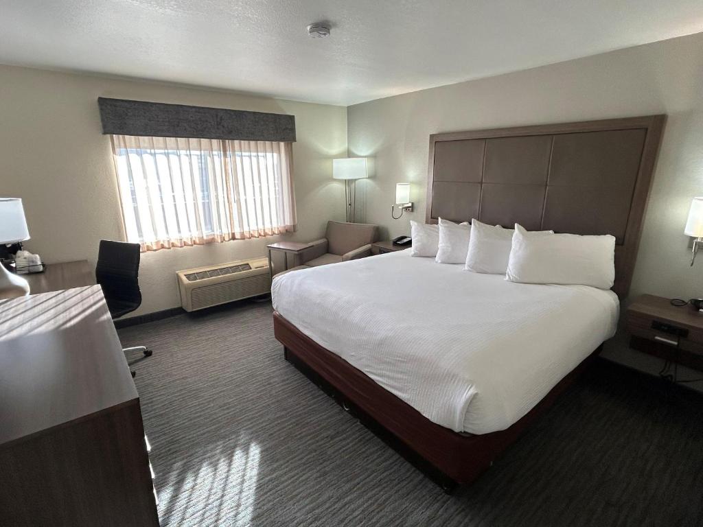 a hotel room with a large bed and a chair at Best Western Plus Paper Valley Hotel in Appleton