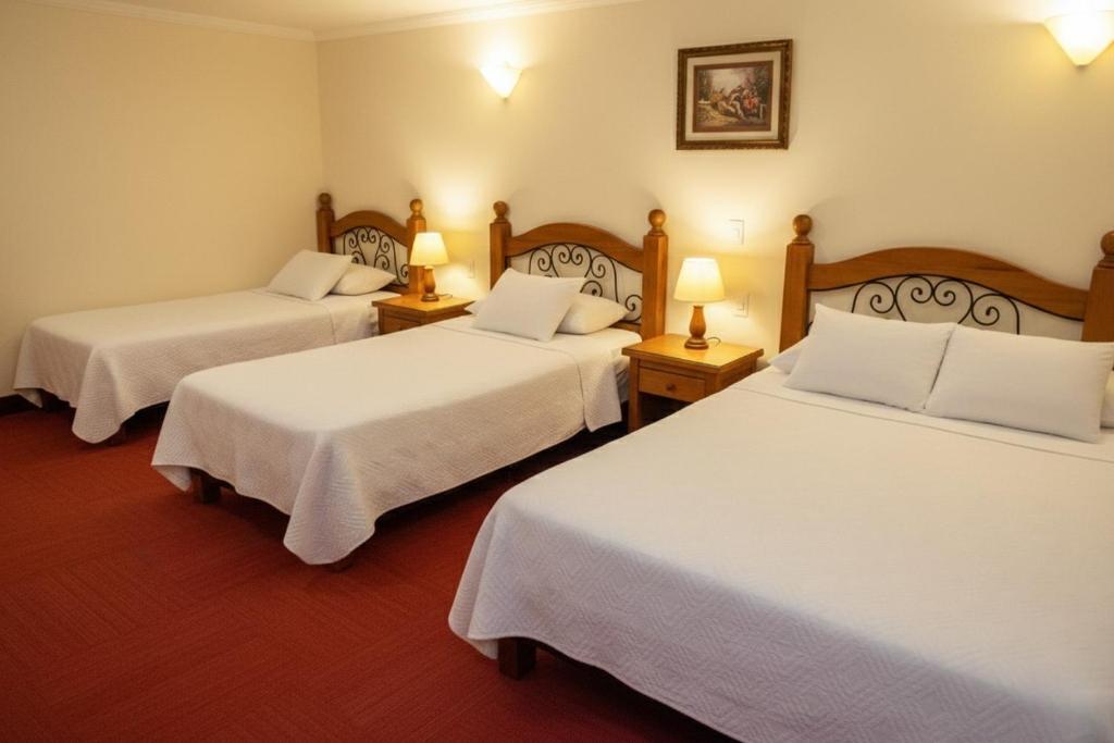 Hotel Santamaria INN photo
