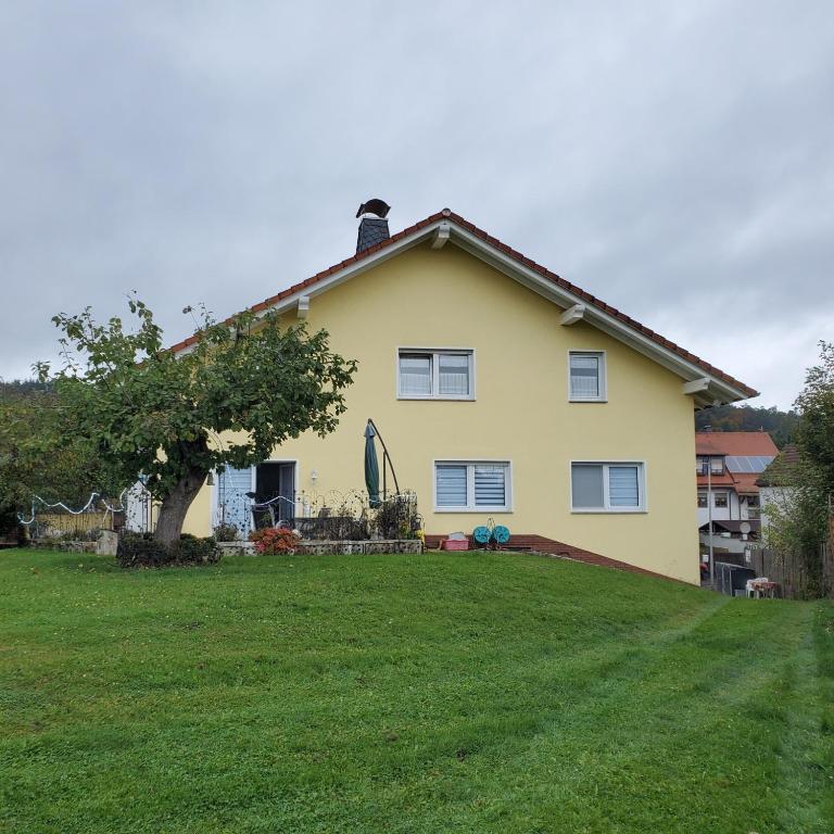 a yellow house on top of a green lawn at Appartements & Ferienwohnungen Wolf in Usingen