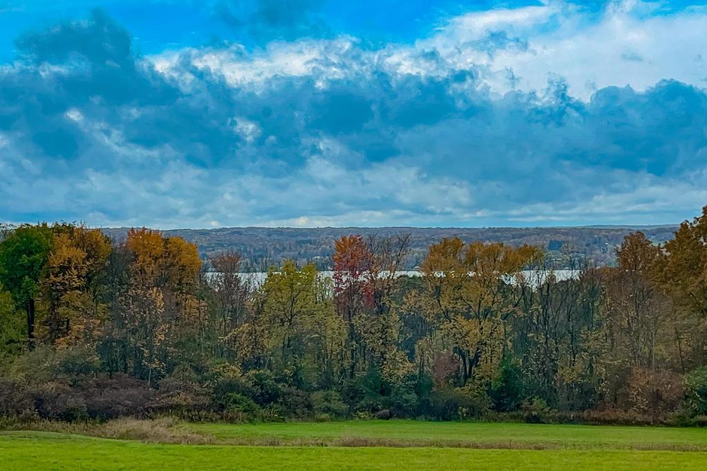 an autumn view of a field and trees at Chautauqua Lake Views! Bemus Point Getaway in Bemus Point