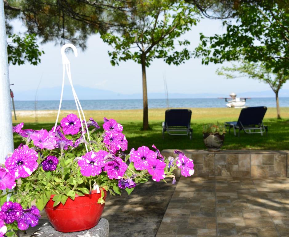 a red pot of flowers with the beach in the background at Studios Avra in Skala Rachoniou