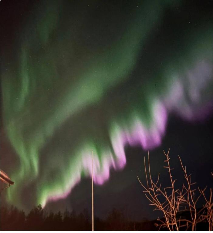 an image of the northern lights in the sky at Takelvdal in Björklid