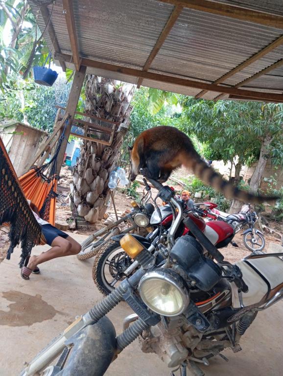 Casa de MaMa Bertha y Papacho