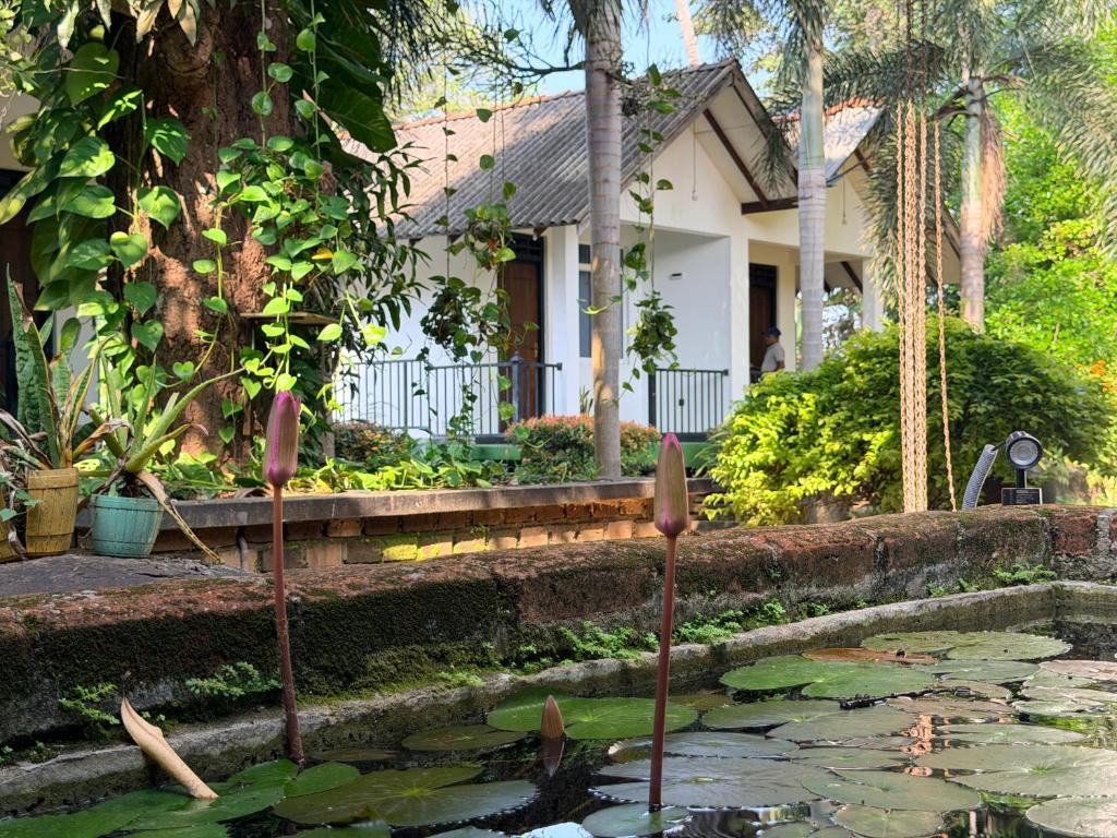 a house with a pond in front of a house at Greenfield Haven in Polonnaruwa