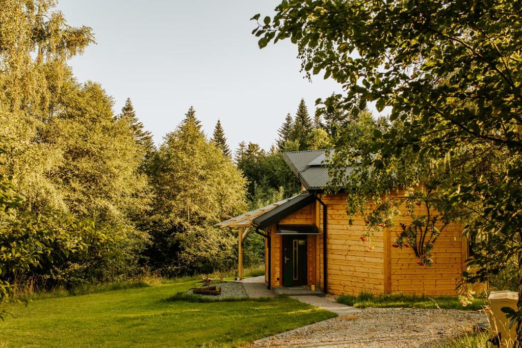 a small wooden cabin in the middle of a forest at Cisza Traw in Rabka-Zdroj