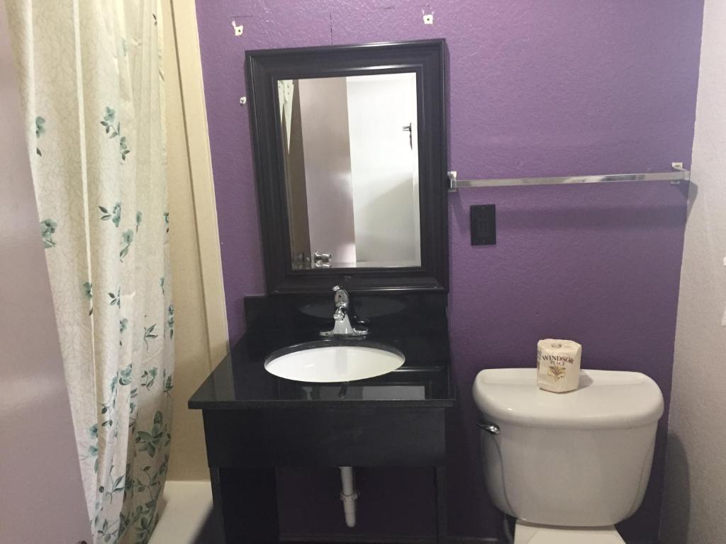 a bathroom with a toilet and a sink and a mirror at Fort Myers Inn in Fort Myers