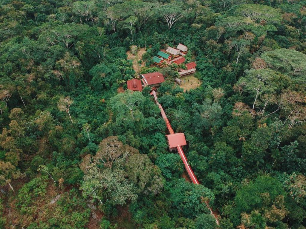 an aerial view of a house in the middle of a forest at Johmer EXPEDITION Lodge in Islas Tinicuro
