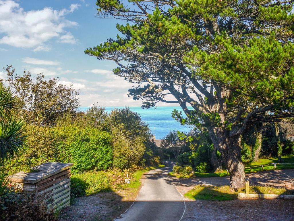 a road with a tree and the ocean in the background at Cedars in Mortehoe